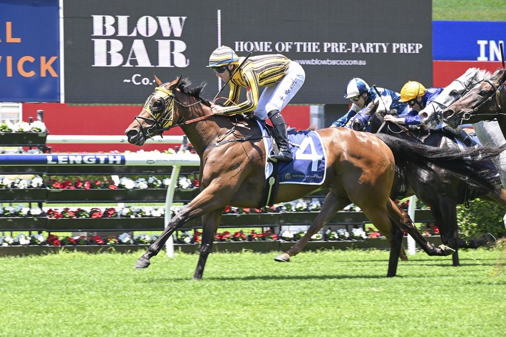 Widdup mare ready for black type tilt post image