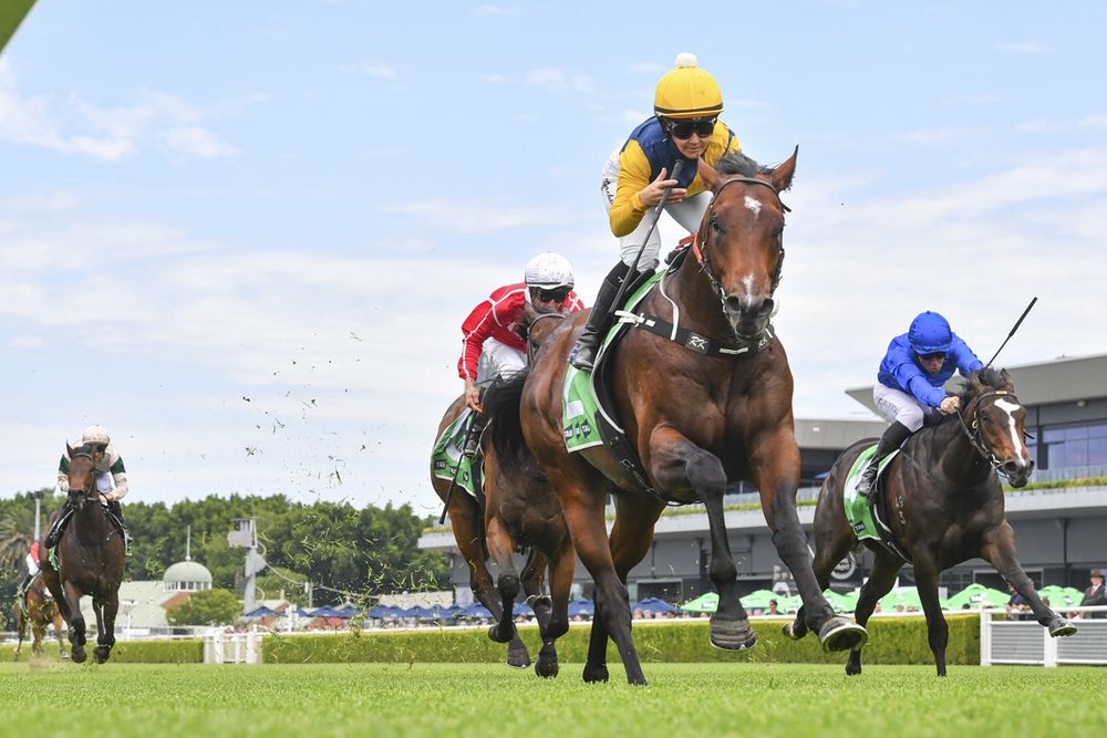 Slipper draw blow: Baker pair land horror barriers post image
