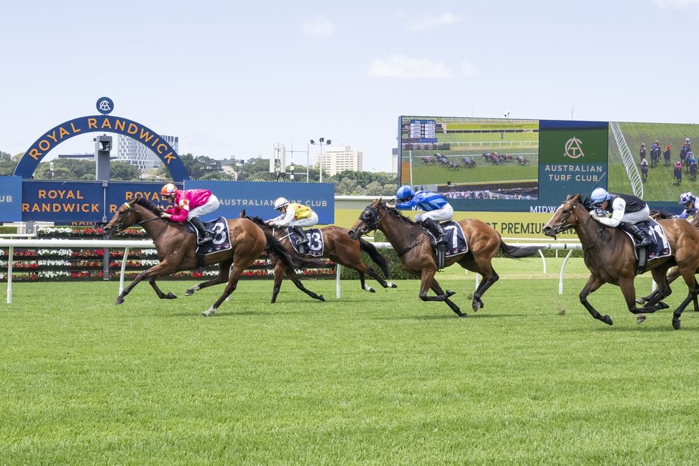 Dean Watling's Hawkesbury preview post image