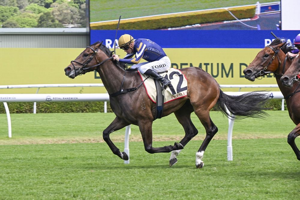 Ice Kool snares Magic Millions slot post image