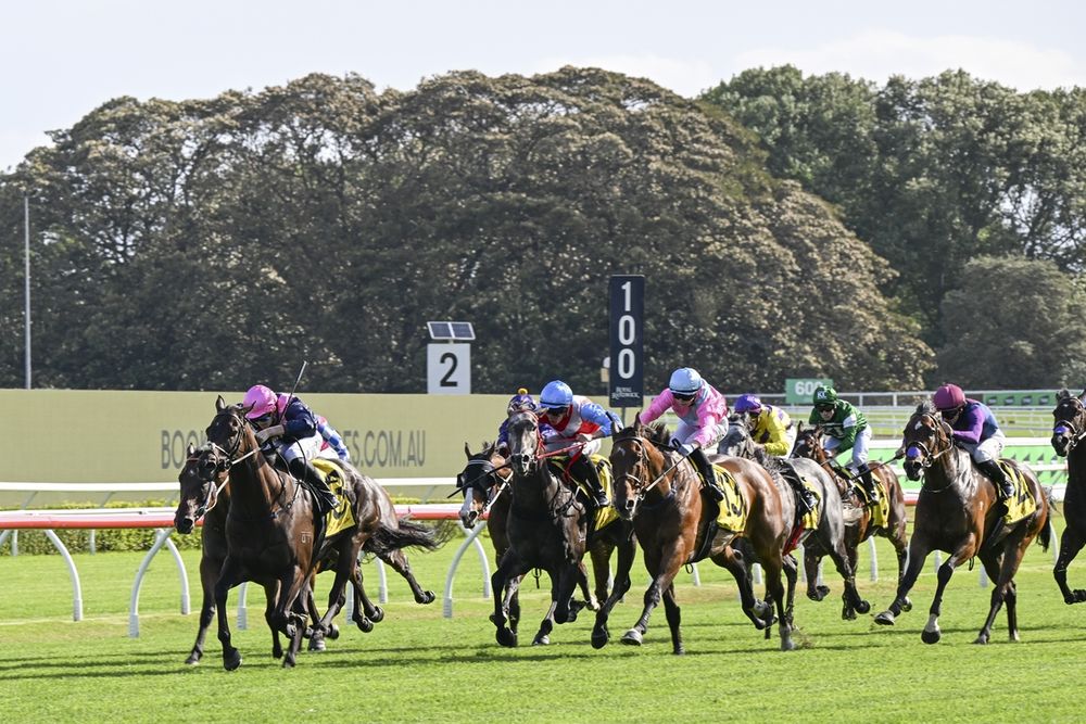 Dean Watling's NSW Blackbook post image