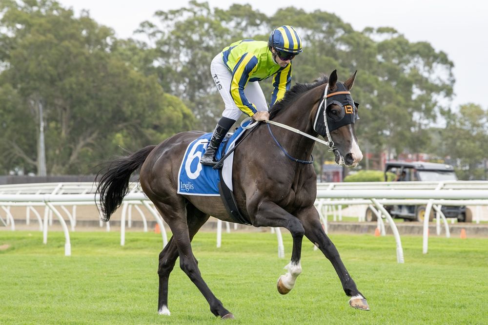 Ellerslie on the radar as Lees eyes double post image