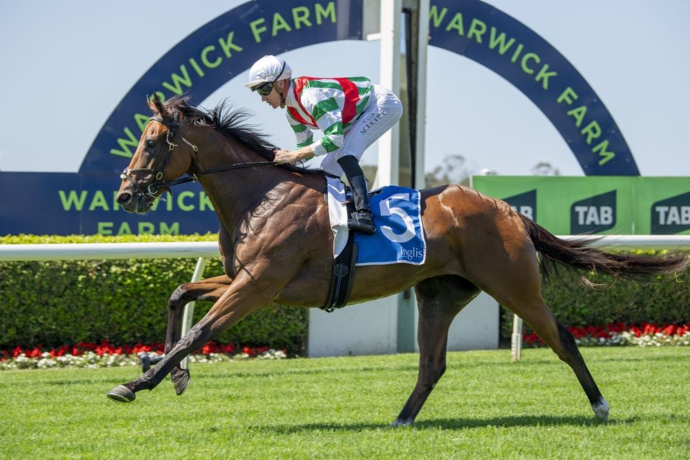 ‘If not now, when?’: Freedman throws Journeyman into Hobartville post image