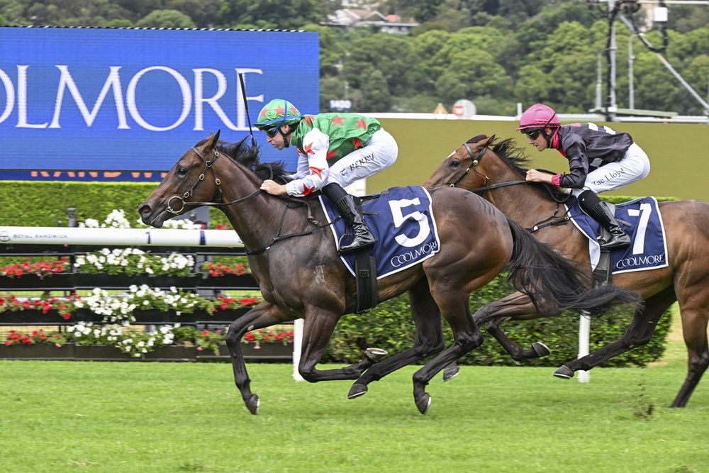 Ciaron's Star a dream name now chasing Golden Slipper glory post image