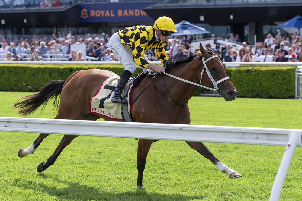 Dean Watling dissects tactical Queen Elizabeth Stakes showdown at Randwick post image