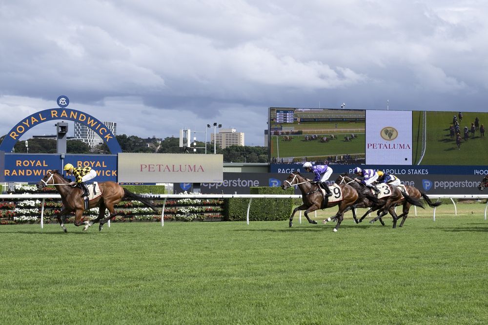 Apollo Stakes beaten brigade post image