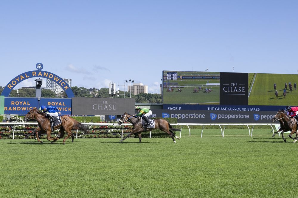 Beaten jockeys: The Chase Surround Stakes post image