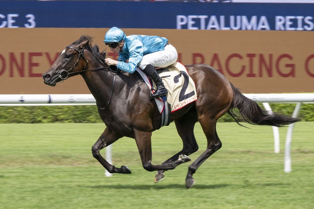 Golden Slipper 2026 Preview: Gibbo’s take on a wide-open Slipper post image