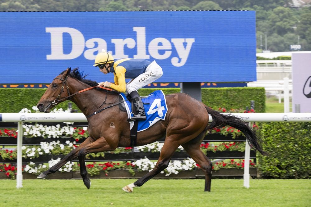 Collett’s Slipper chance: ‘I think I’ve found the right horse’ post image