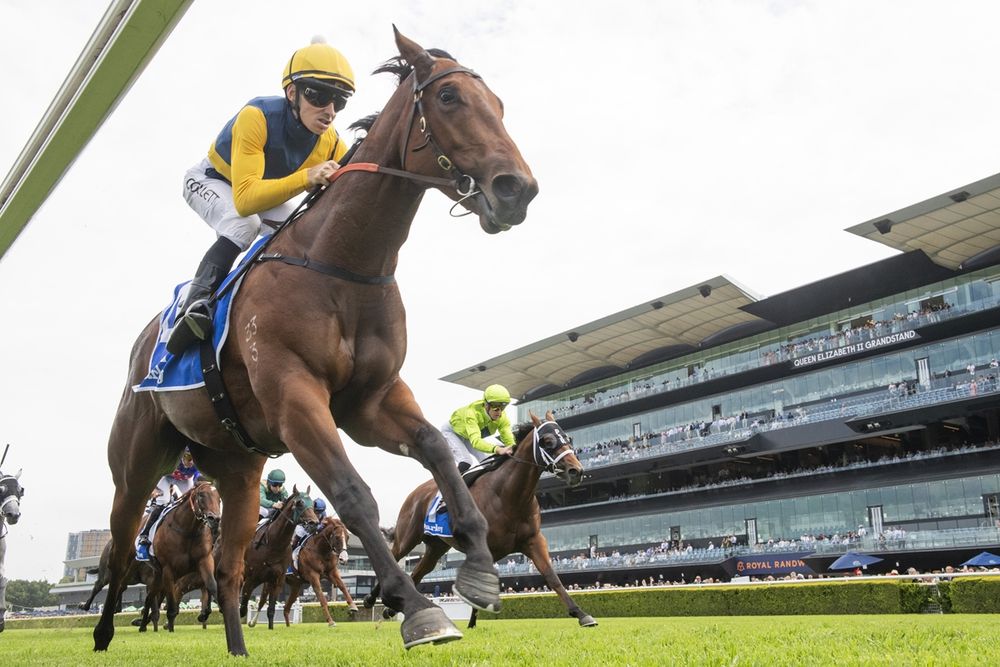 Bjorn Baker’s stunning turnaround as Paradoxium powers toward Golden Slipper post image