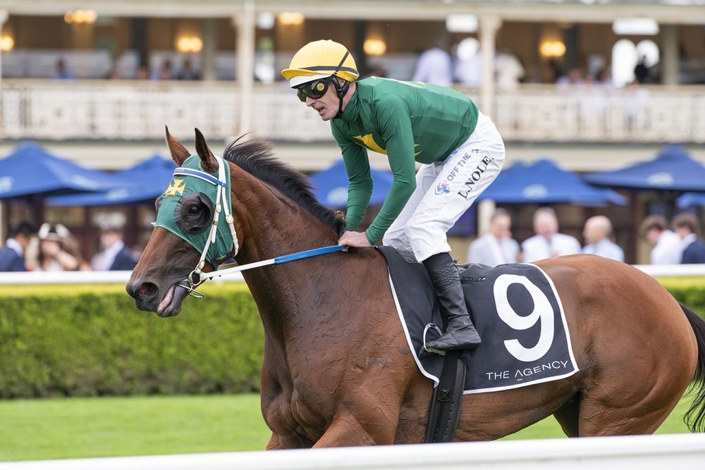 Doncaster favourite firms as Moody cools comparisons to legends post image