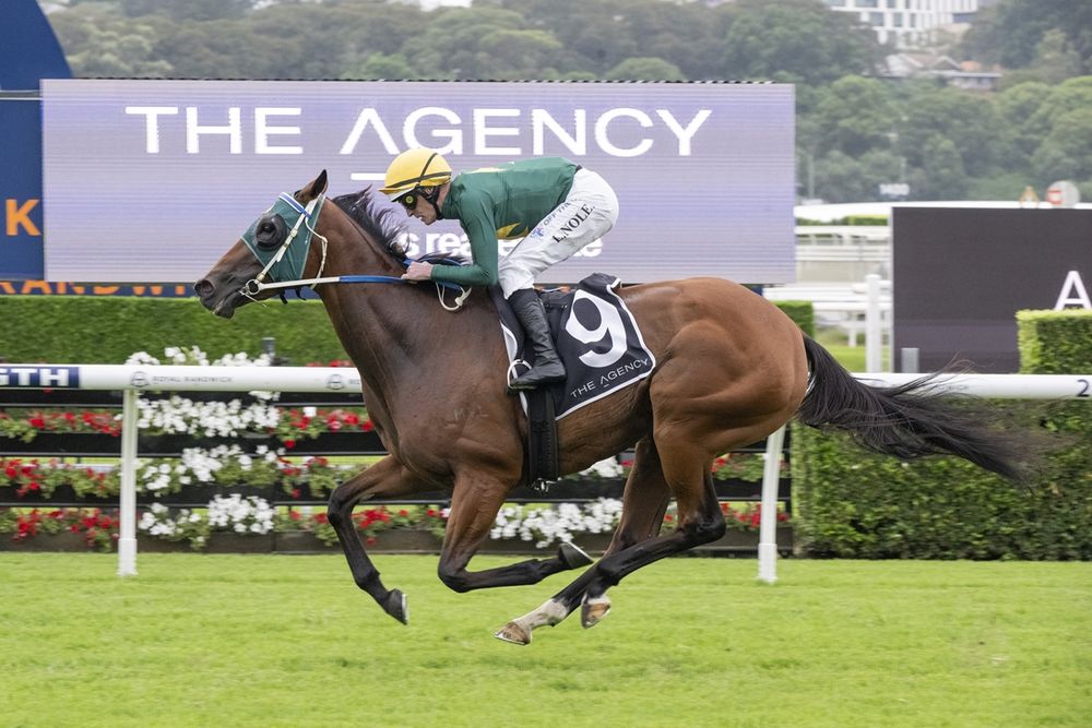 Cox Plate unlikely as Moody plots Golden Eagle path for Sheza Alibi post image