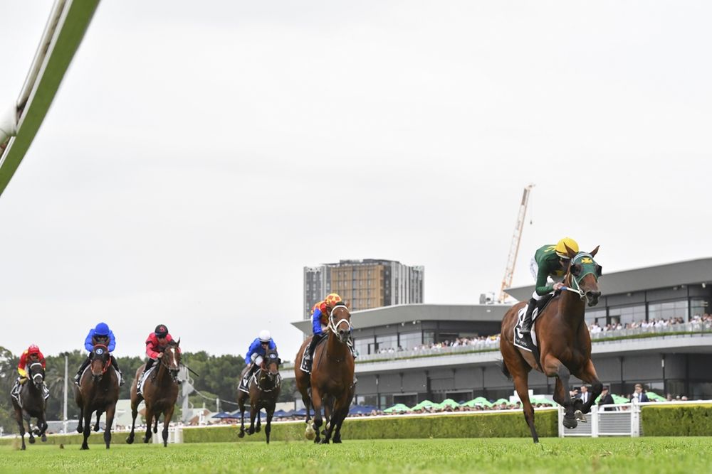 Beaten jockeys: Group 1 Randwick Guineas post image