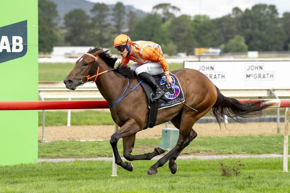 $450K Slipper gamble: Three pay $150,000 to chase two-year-old riches post image