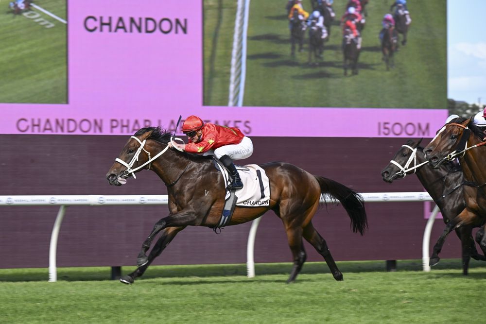Doncaster doubt for Sixties despite Phar Lap Stakes win post image