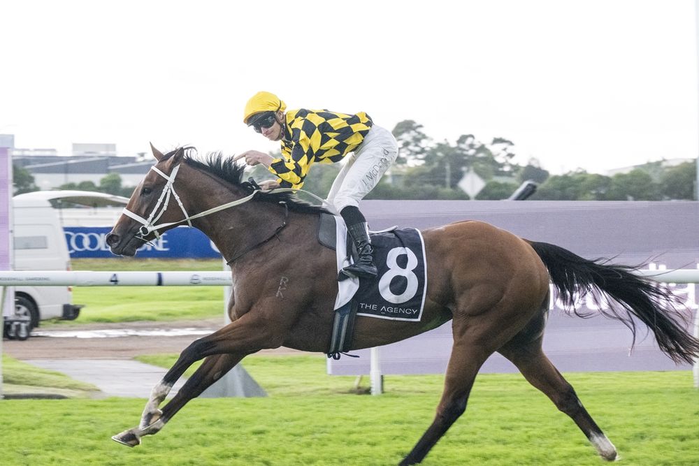 'She’s scary': Autumn Glow extends unbeaten run post image