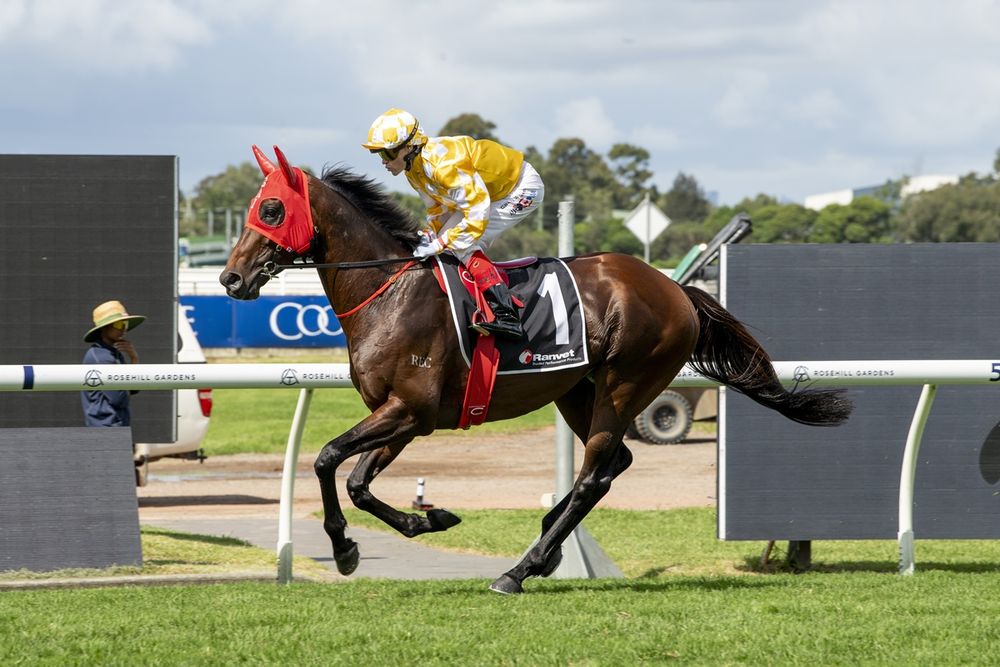 Sir Delius runs Autumn Glow into the ground with stunning Queen Elizabeth Stakes win post image