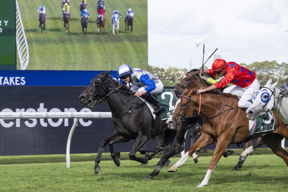 Vinery Stud Stakes: Beaten jockeys post image