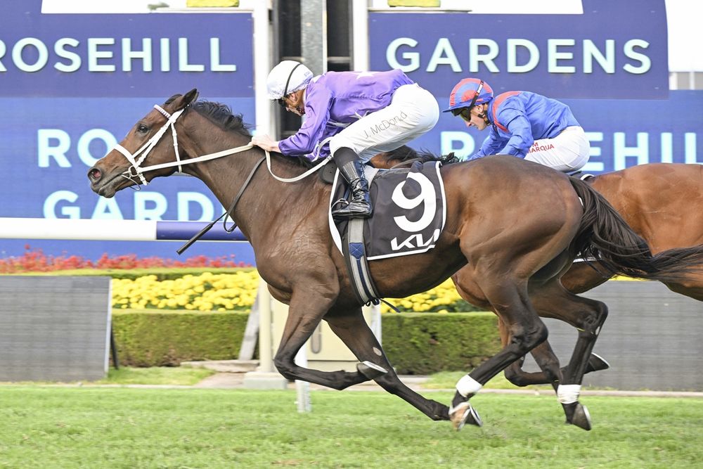 J-Mac times it to perfection in Tancred Stakes classic post image