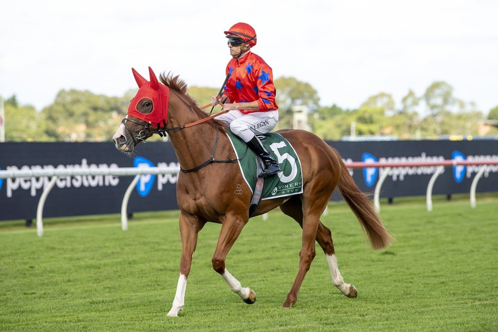 Sutton eyes Oaks redemption after Vinery heartbreak post image