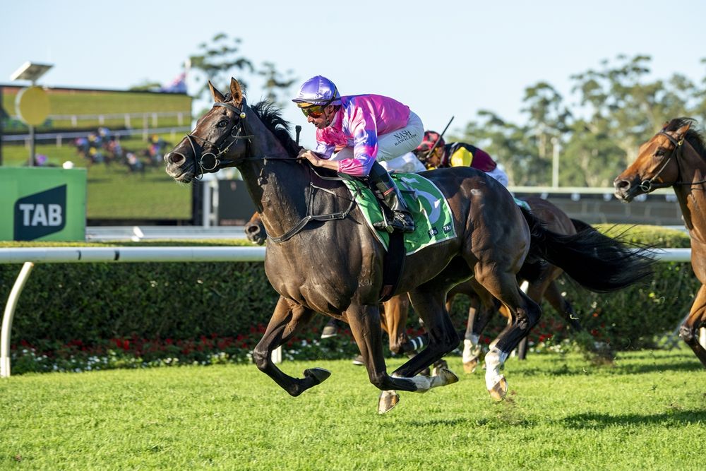 $550K flop to comeback star: Call Me Gorgeous chasing stakes glory after Hong Kong bust post image