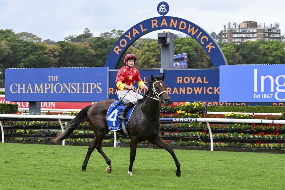 Champagne Stakes Barrier Draw: Dean Watling dissects the winners and losers post image