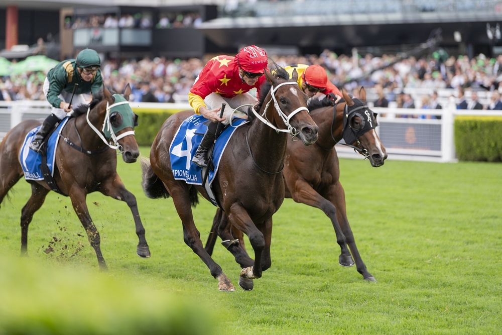 Inside the Inglis Sires’: What the beaten jockeys had to say post image