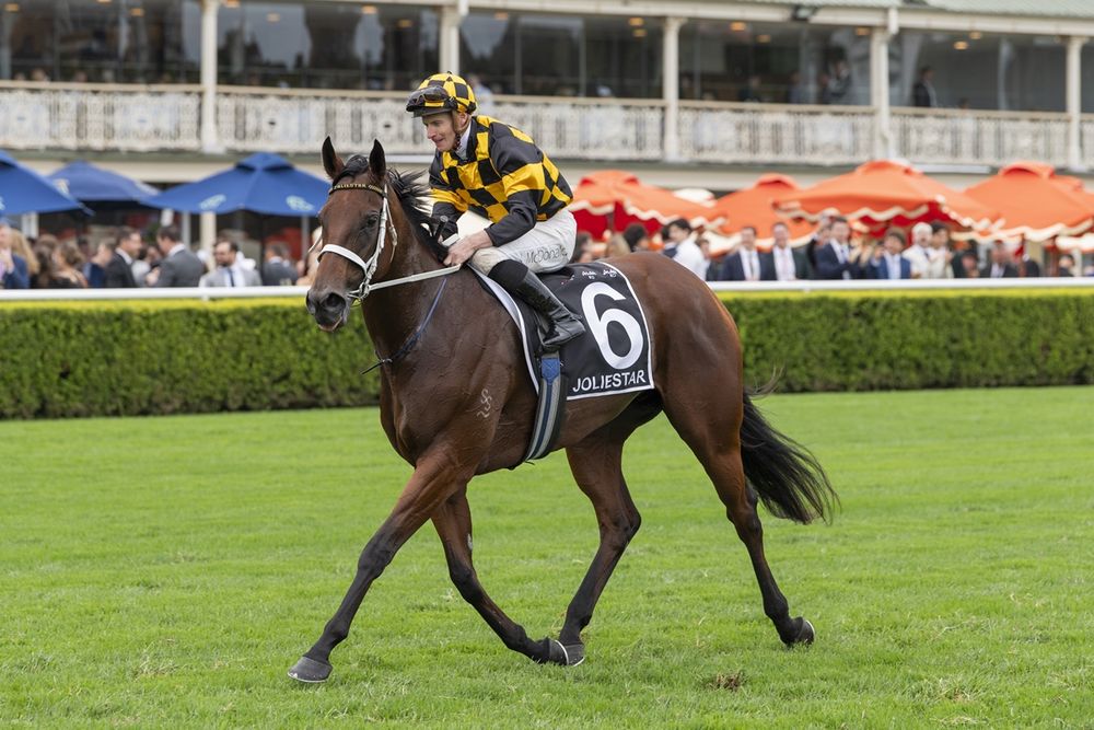 Joliestar arrives: TJ Smith domination seals sprinting crown, Ascot next post image