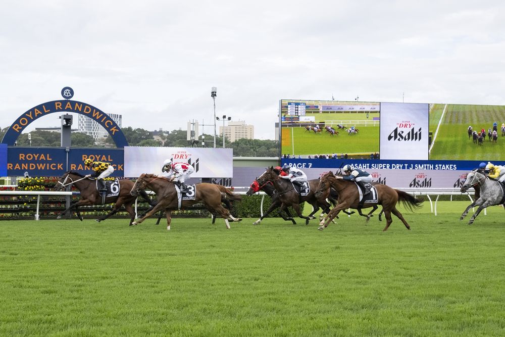 Beaten Jockeys break down TJ Smith as Joliestar delivers at Randwick post image