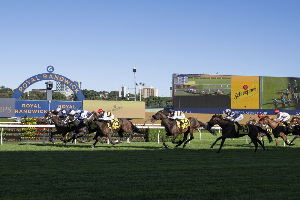 60/1 boilover: Sydney Cup turns into war of attrition as beaten jockeys explain what went wrong post image