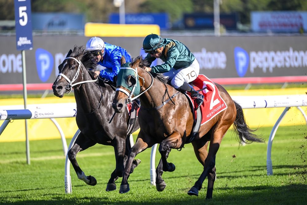 Group 1 Champagne Stakes: Beaten jockeys post image