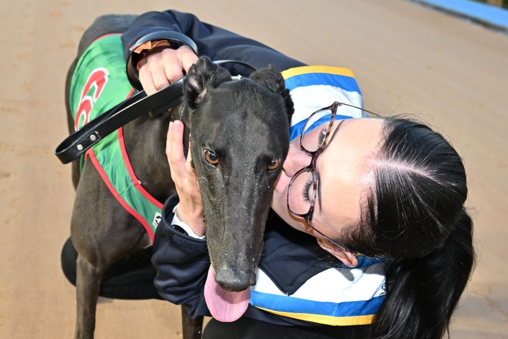 Jason Adams' Meadows Tips: Australian Cup Carnival Week 2 post image