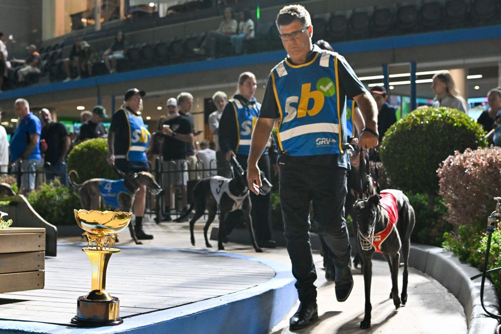 Australian Cup Night Preview: Jason Adams’ best bets for Group 1 showpiece at The Meadows post image