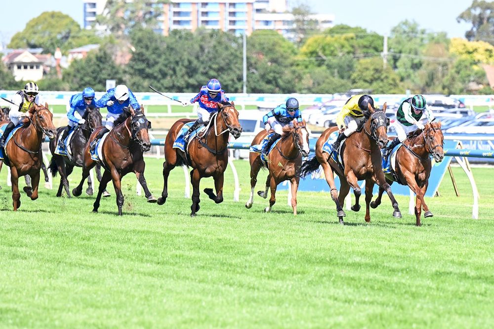 Beaten jockey reactions: Blue Diamond Stakes 2026 post image