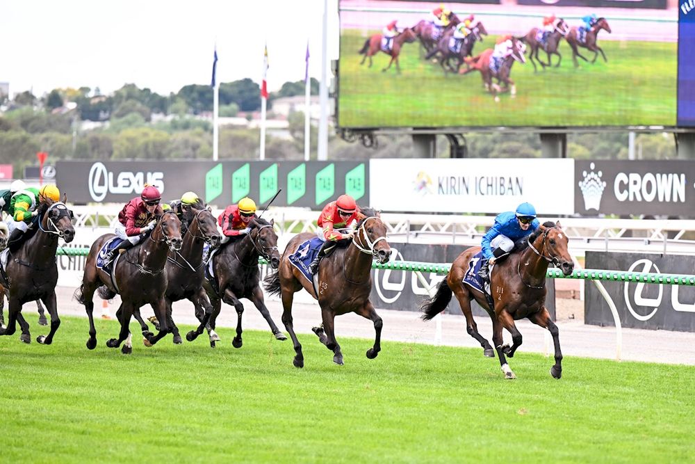 Beaten jockeys: Australian Guineas post image