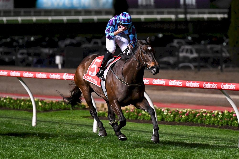 Ottobre builds ‘Formula 1 team’ to keep Pride Of Jenni flying ahead of All-Star Mile post image