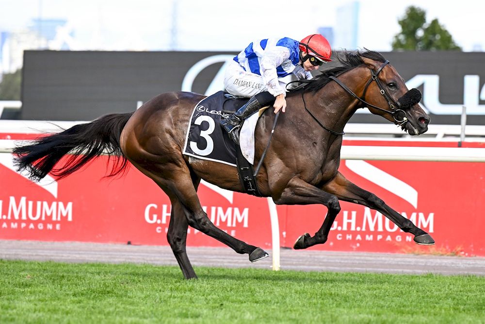 Melbourne Cup dream alive for Whisky On The Hill after Roy Higgins win post image
