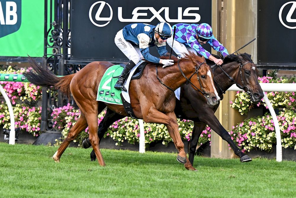 All-time classic: Light Infantry Man breaks Jenni’s heart in Australian Cup epic post image