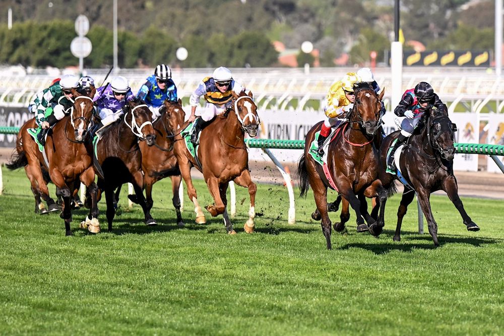 Turnbull Stakes beaten jockeys post image