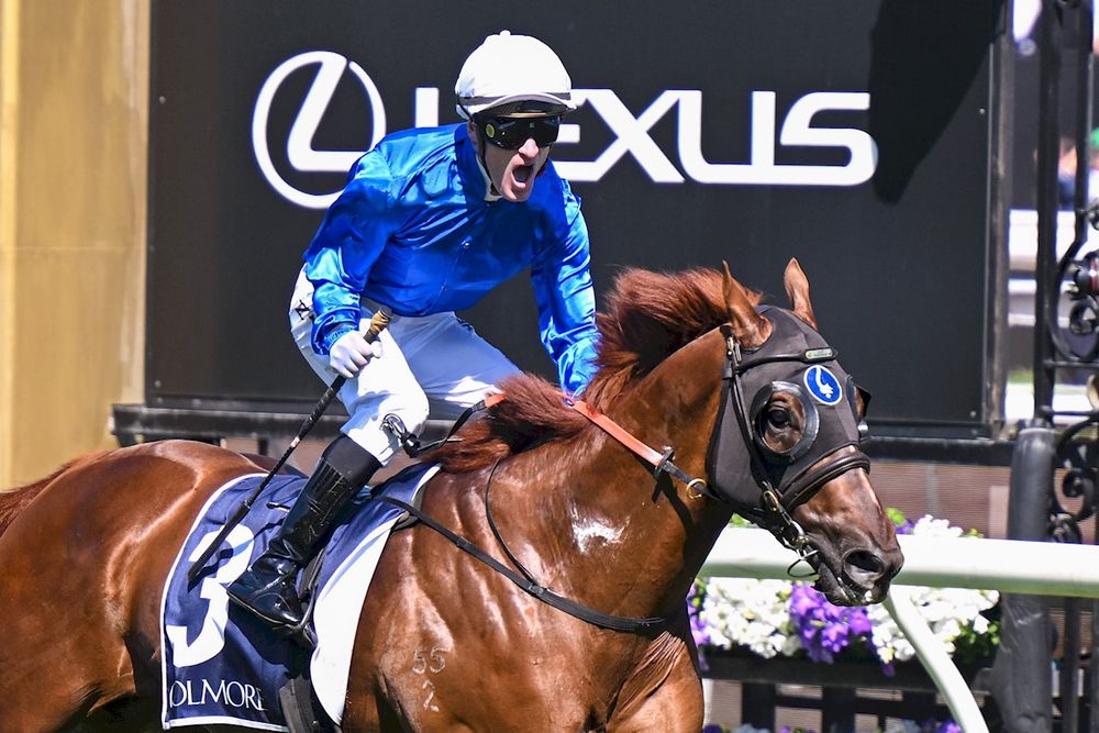 Shock calls: Tentyris, Observer retired to stud post image