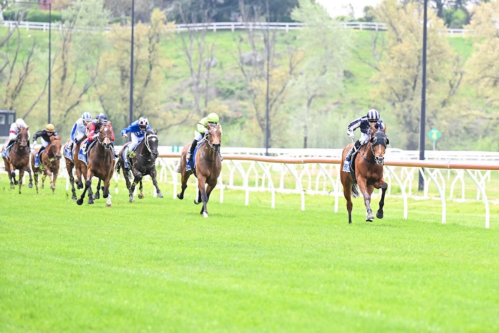 Kyneton meeting abandoned shortly after first was due to jump post image