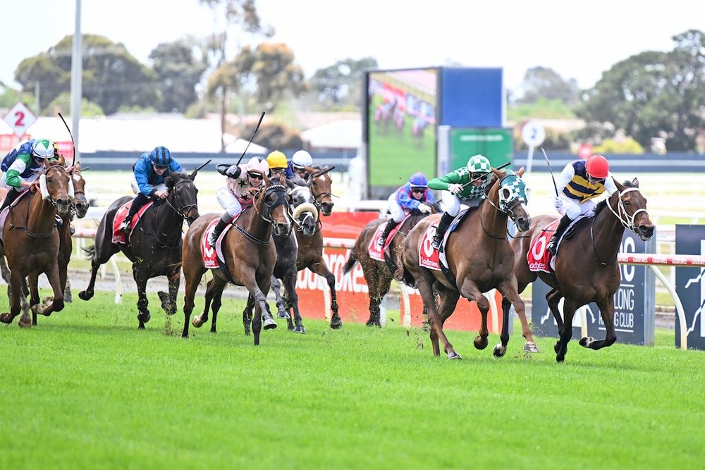 High winds claim another Geelong meeting post image