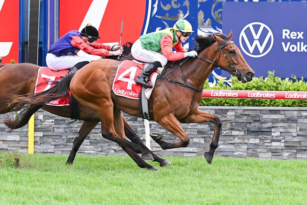 From the bush to the big time: it's unfinished business as Torranzino eyes Cup glory post image