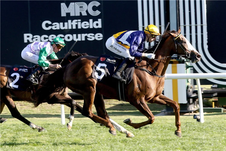 Gibbo went prospecting at the Doomben trials and found a few nuggets post image