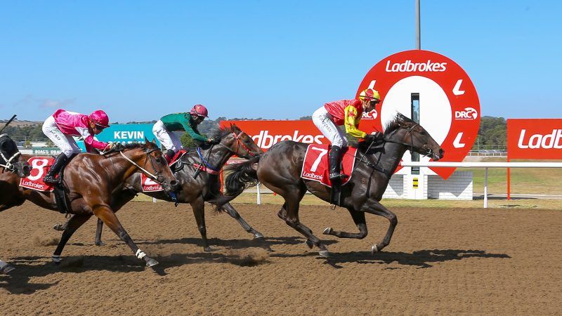 From Cup glory to daily grind: Launceston Cup hero Glenn Stevenson plots next move post image
