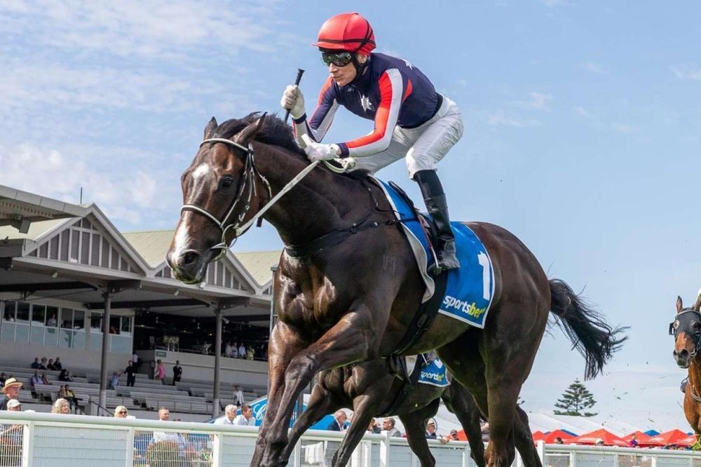 Holder’s renaissance heads to Cranbourne post image