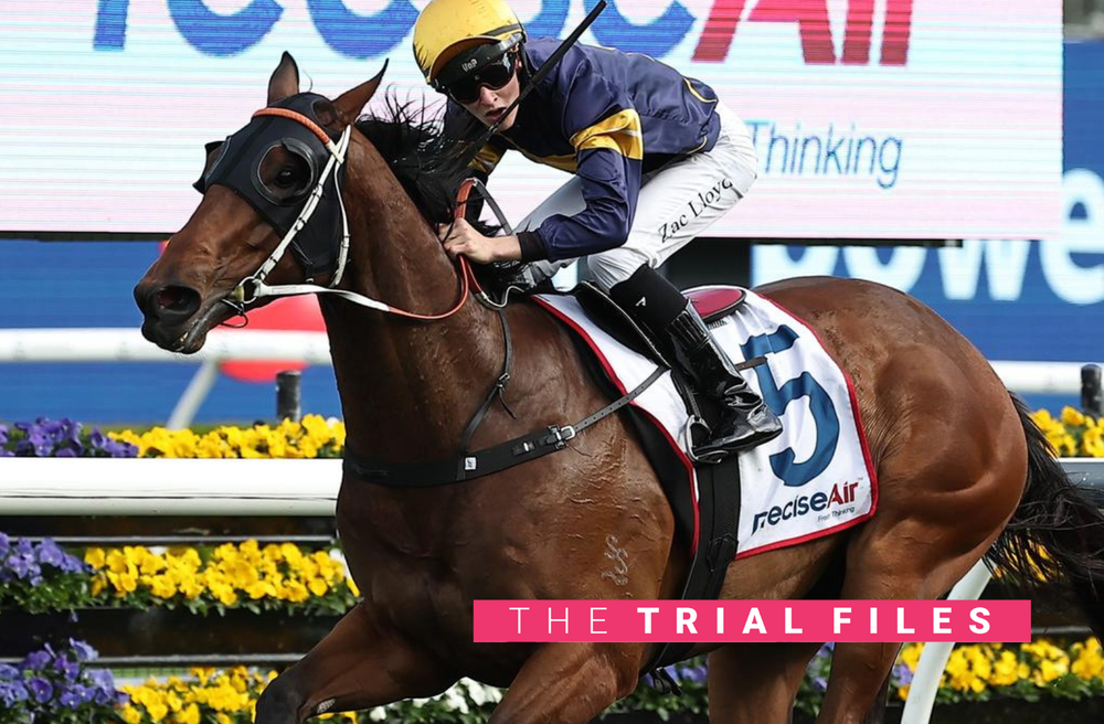 The Trial Files: Sydney Review post image