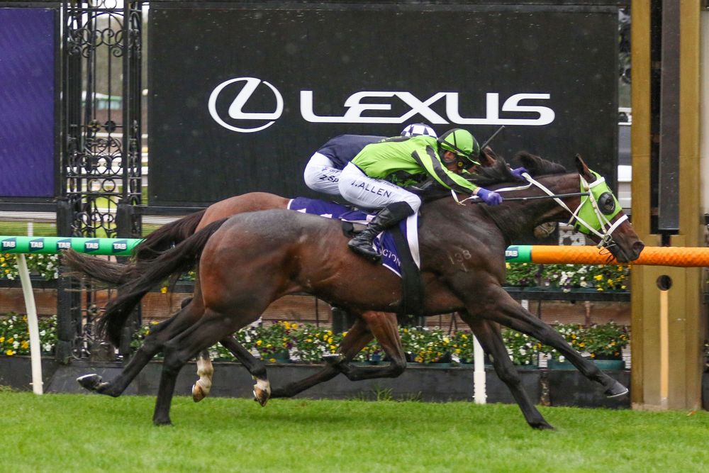 Racelab Ratings: Collum finds value plays in the 2026 Adelaide Cup post image