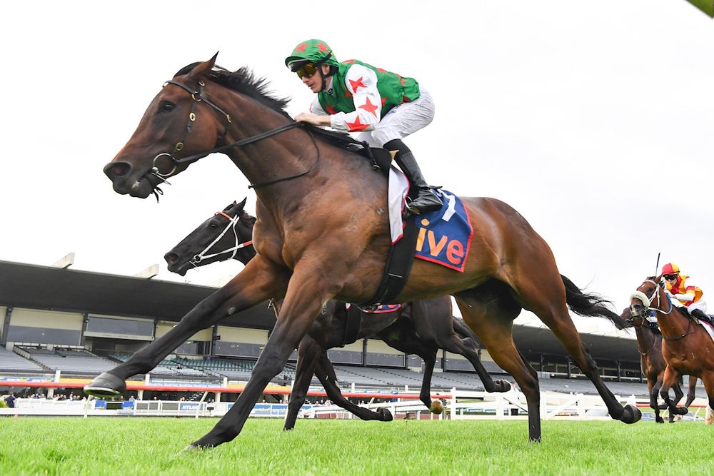 Dean Watling’s NSW Trial Report: Key horses to follow from Canterbury and Rosehill post image