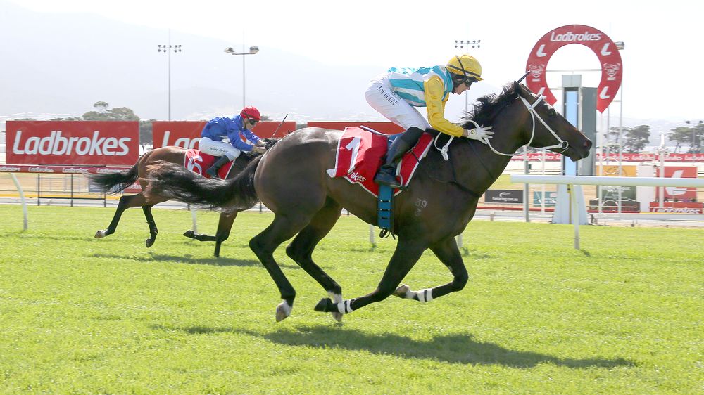 Steve Christie's Launceston preview post image